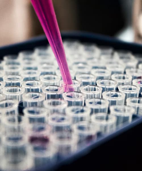 Pharmaceutical Procedures